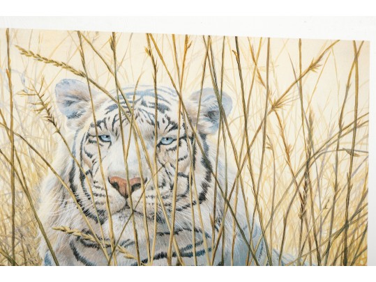 John Seerey-Lester (1945 - 2020) 