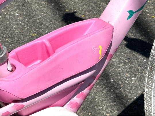 Awesome Trek Mystic Girls Bicycle