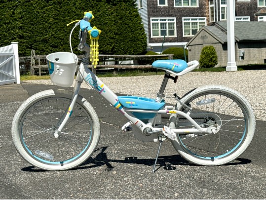 A Trek Girls Bicycle