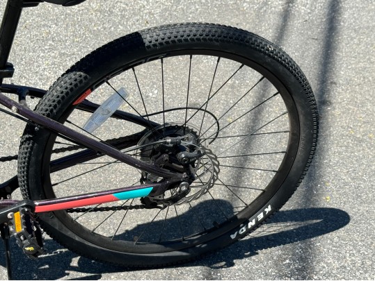 Awesome Girls Cannondale Bicycle