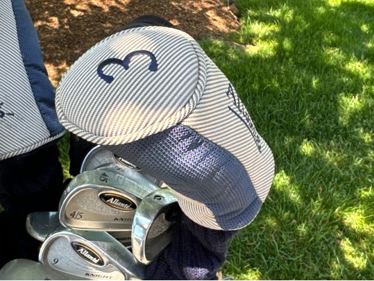 Fourteen Golf Clubs With Carrying Bag