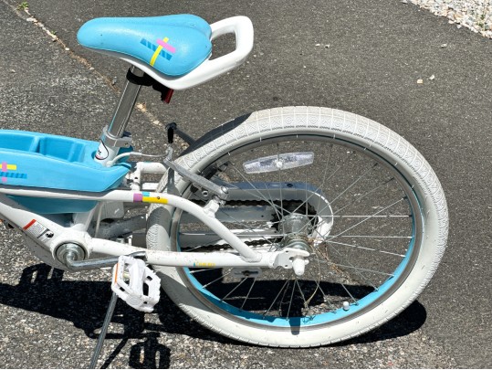 A Trek Girls Bicycle