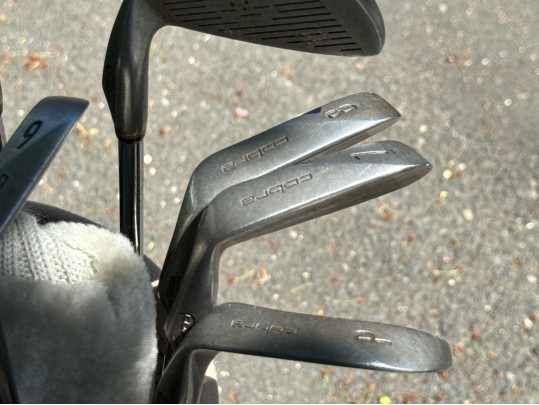 Thirteen Golf Clubs With Bag