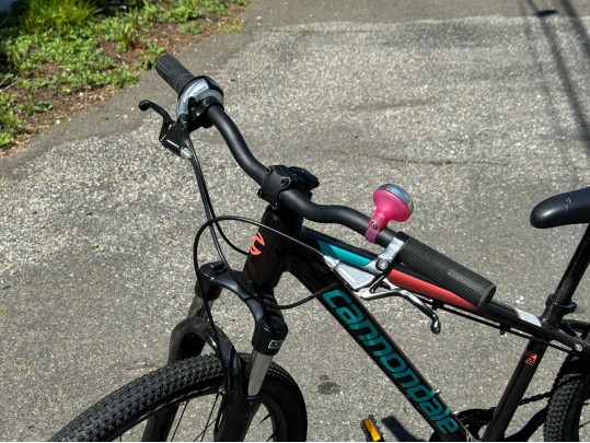 Awesome Girls Cannondale Bicycle