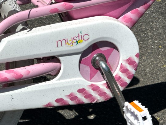 Awesome Trek Mystic Girls Bicycle