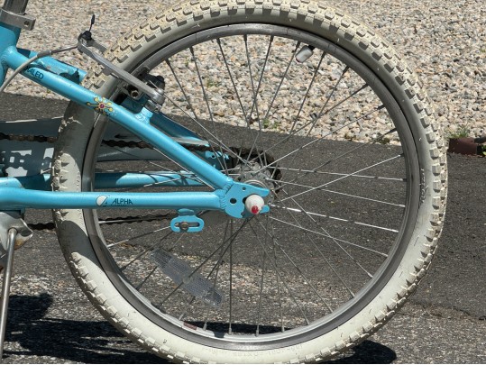 Trek Mystic Girls Bicycle