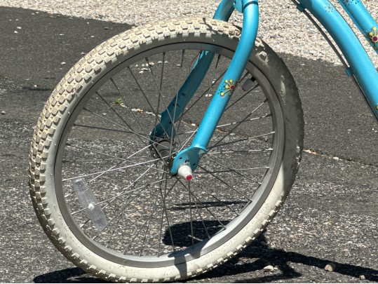 Trek Mystic Girls Bicycle