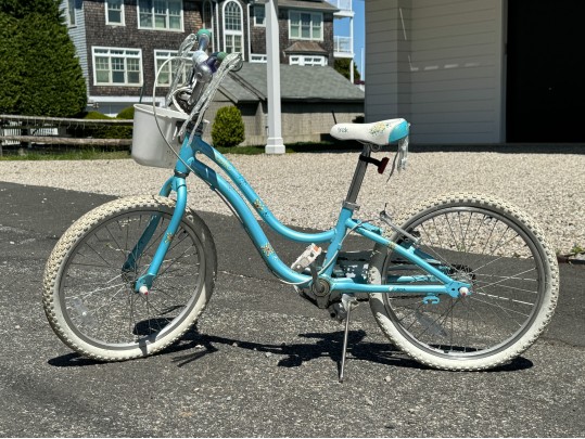 Trek Mystic Girls Bicycle