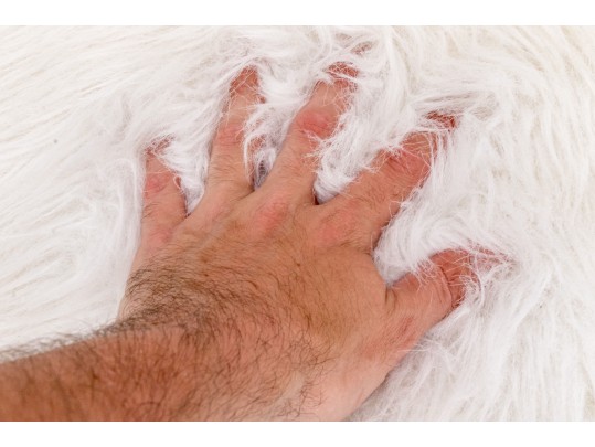 Chic Restoration Hardware Teen Side Chair