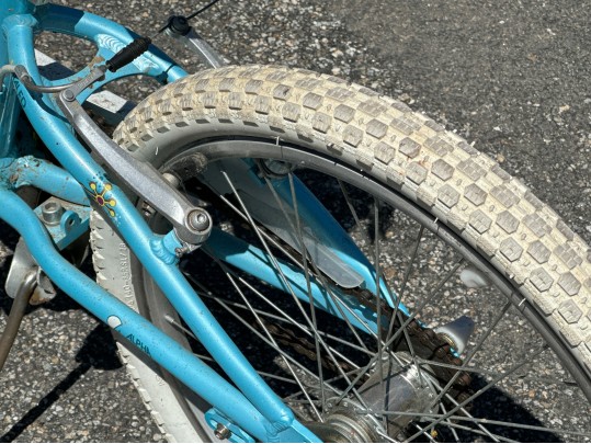 Trek Mystic Girls Bicycle