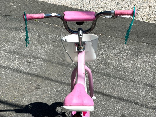 Awesome Trek Mystic Girls Bicycle