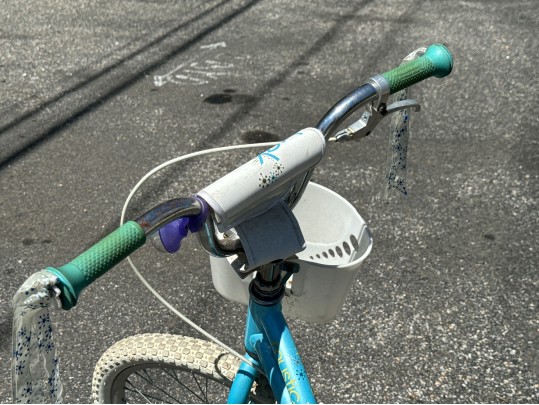 Trek Mystic Girls Bicycle