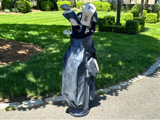 Fourteen Golf Clubs With Carrying Bag