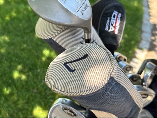 Fourteen Golf Clubs With Carrying Bag