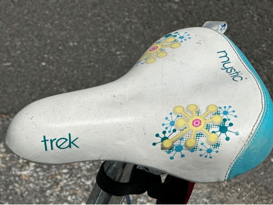 Trek Mystic Girls Bicycle