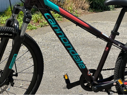 Awesome Girls Cannondale Bicycle