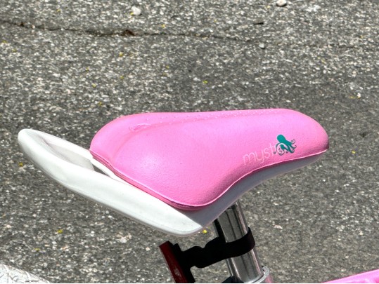 Awesome Trek Mystic Girls Bicycle