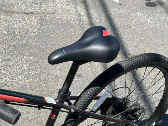 Awesome Girls Cannondale Bicycle