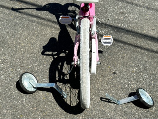 Awesome Trek Mystic Girls Bicycle