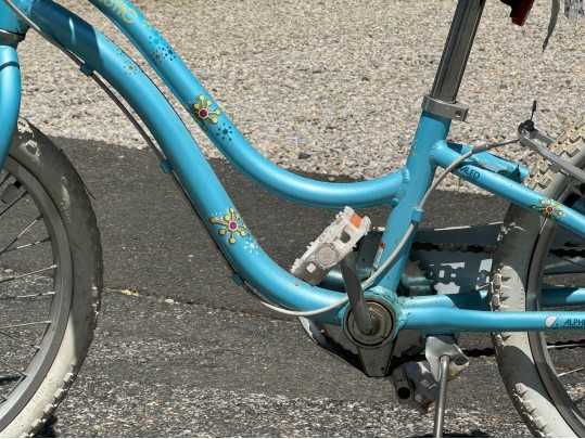 Trek Mystic Girls Bicycle