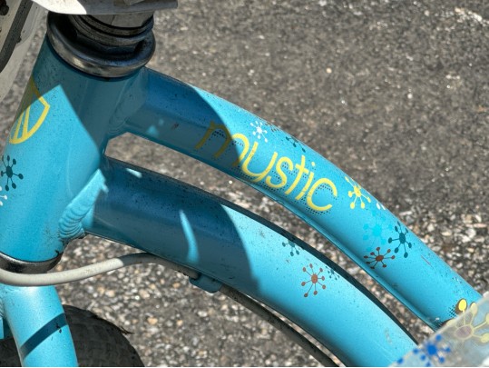 Trek Mystic Girls Bicycle