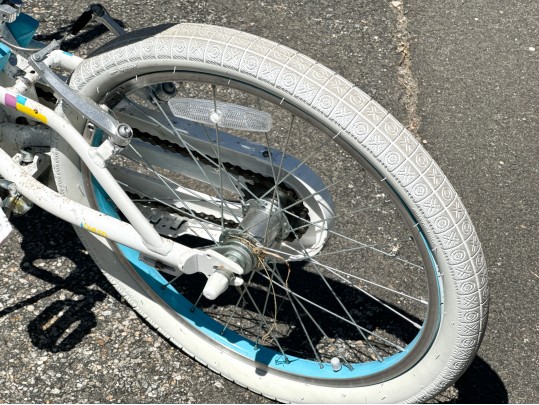 A Trek Girls Bicycle