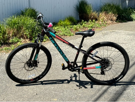 Awesome Girls Cannondale Bicycle