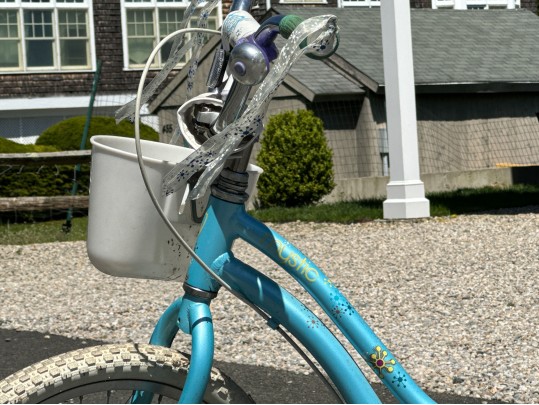 Trek Mystic Girls Bicycle