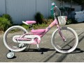 Awesome Trek Mystic Girls Bicycle