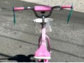 Awesome Trek Mystic Girls Bicycle