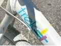 A Trek Girls Bicycle