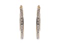 Shimmering 14K Double Style Hoop Earrings