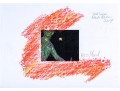 Wo Roberto Malini (Italian, B 1959) & Steed Gamero (Italian, 20th C) Mixed Media