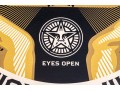 Shepard Fairey (American, B. 1970) Screen Print 