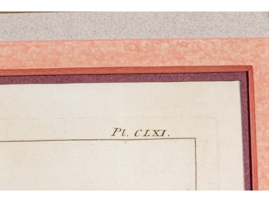 Elegant Collection Of Three Antique Botanical Prints, All Nicely Framed