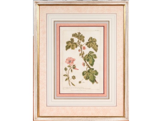 Elegant Collection Of Three Antique Botanical Prints, All Nicely Framed