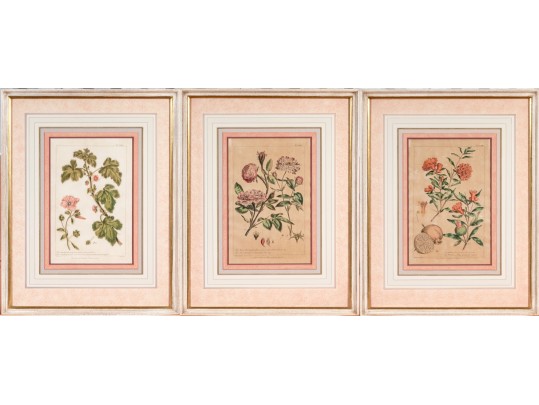 Elegant Collection Of Three Antique Botanical Prints, All Nicely Framed