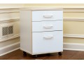 Utilitarian Pair Of File Cabinets On Casters