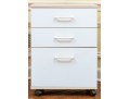 Utilitarian Pair Of File Cabinets On Casters