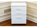 Utilitarian Pair Of File Cabinets On Casters