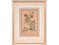 Elegant Collection Of Three Antique Botanical Prints, All Nicely Framed