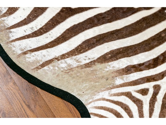 Magnificent Authentic Zebra Hyde