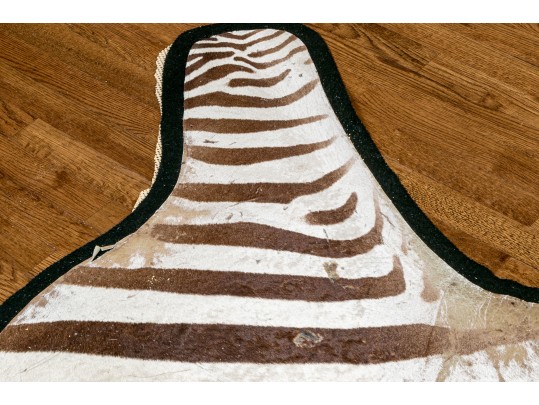 Magnificent Authentic Zebra Hyde