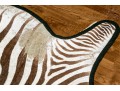 Magnificent Authentic Zebra Hyde