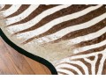 Magnificent Authentic Zebra Hyde
