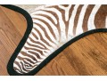 Magnificent Authentic Zebra Hyde
