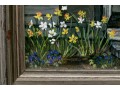 Lyne, Signed Oil On Canvas, Village Doorway