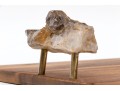 Acadia Wood Serving Tray By Anna, New York