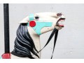 Antique Carousel Horse