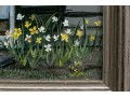 Lyne, Signed Oil On Canvas, Village Doorway